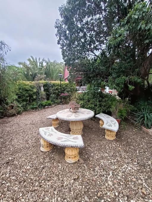 Casa Rural En El Campo Con Animales, Piscina Y Barbacoa Almodóvar del Río Exterior foto