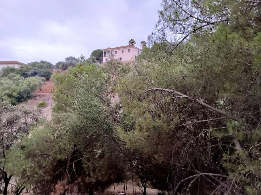 Casa Rural En El Campo Con Animales, Piscina Y Barbacoa Almodóvar del Río Exterior foto